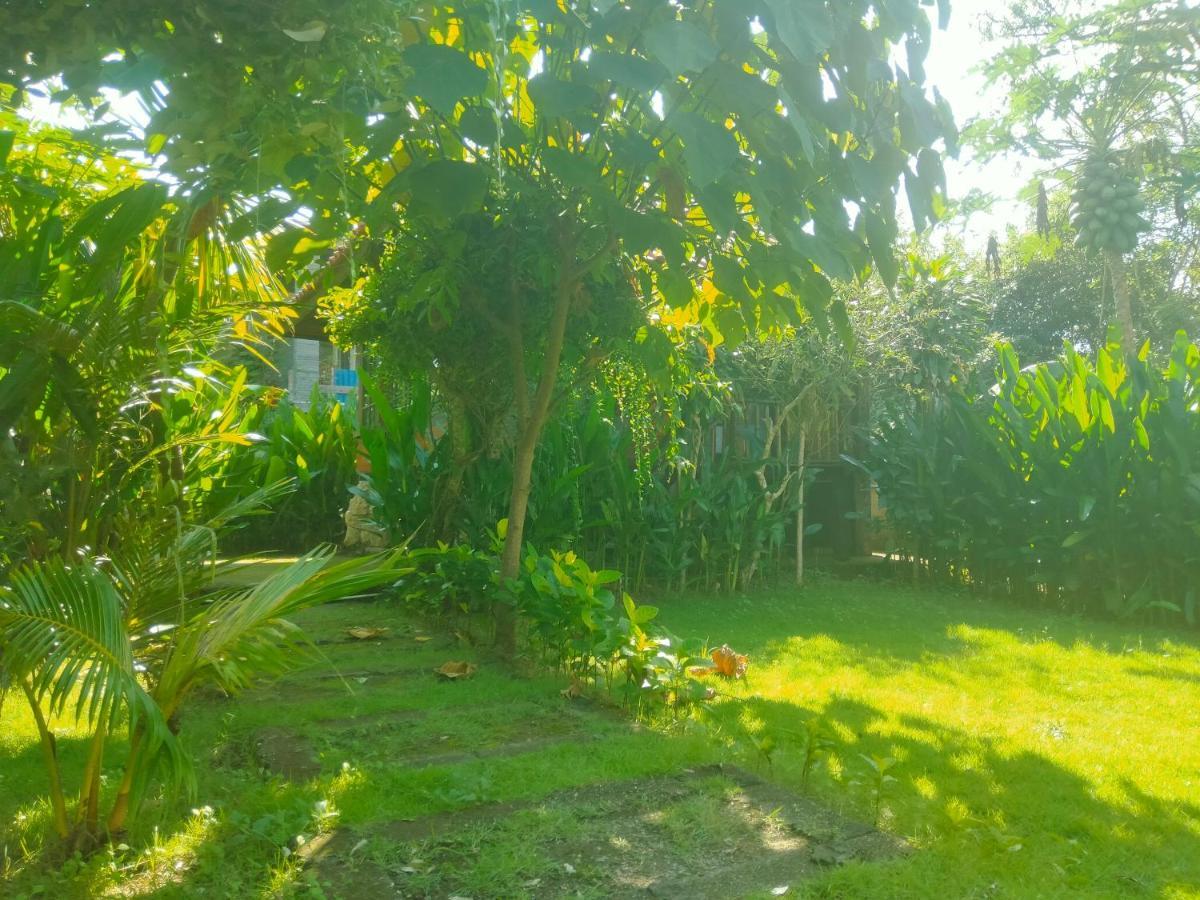 Accommodatie bij particulieren Pier26 Bali