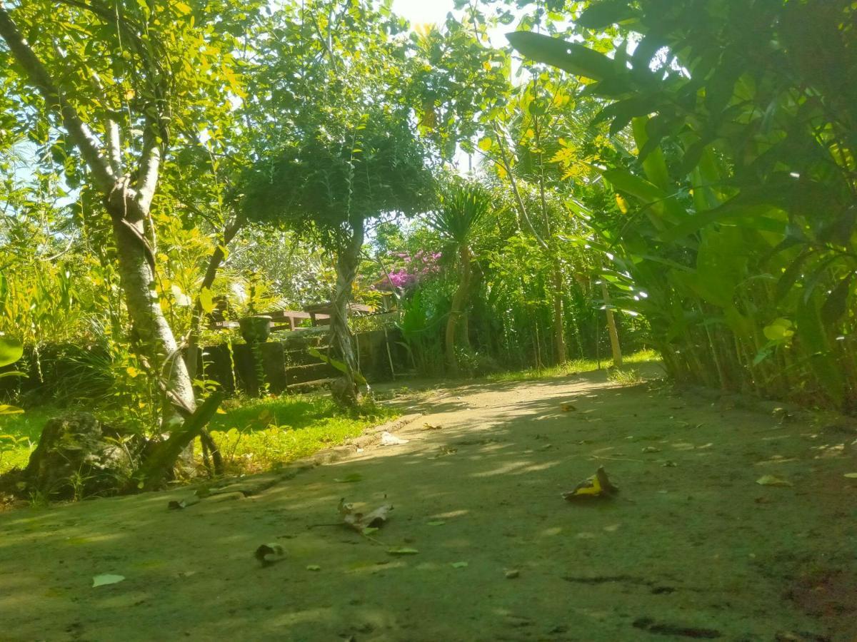 Pier26 Bali Accommodatie bij particulieren